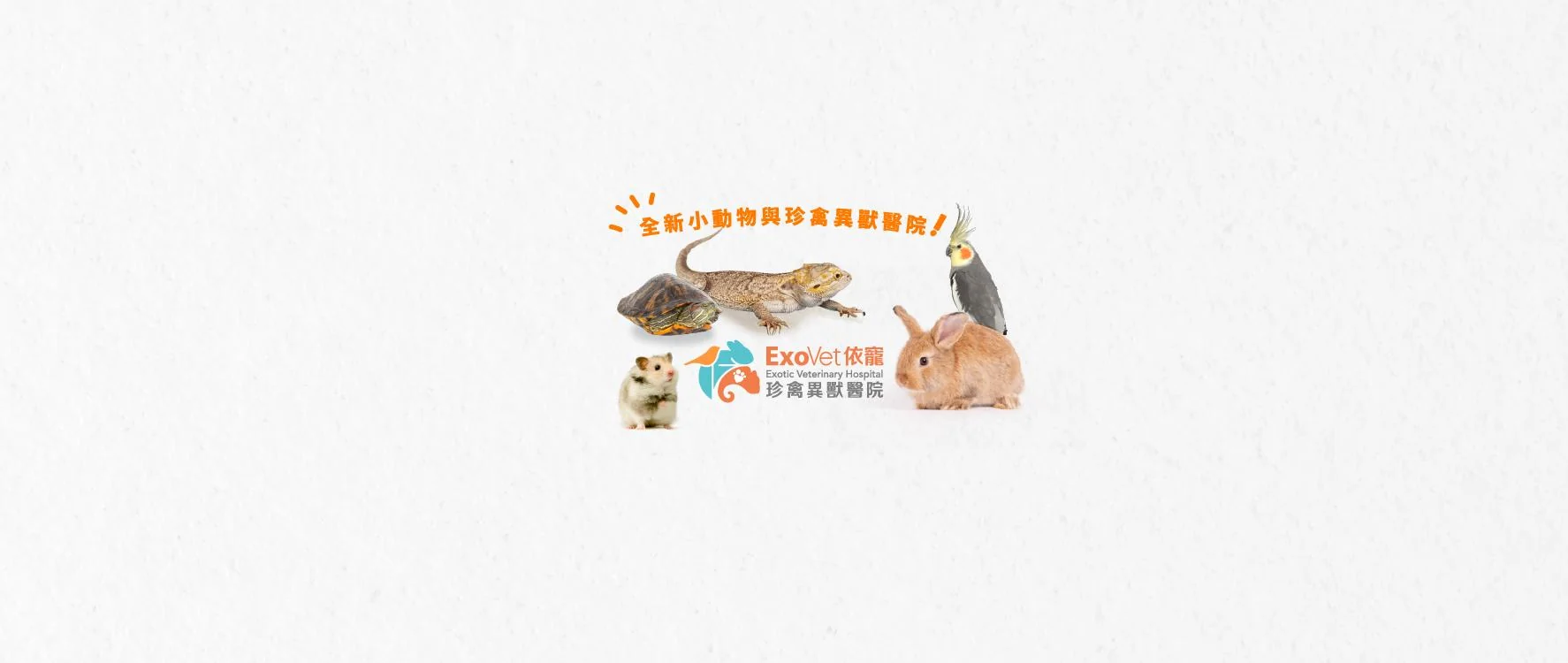 ExoVet Exotic Veterinary Hospital - 依寵珍禽異獸醫院