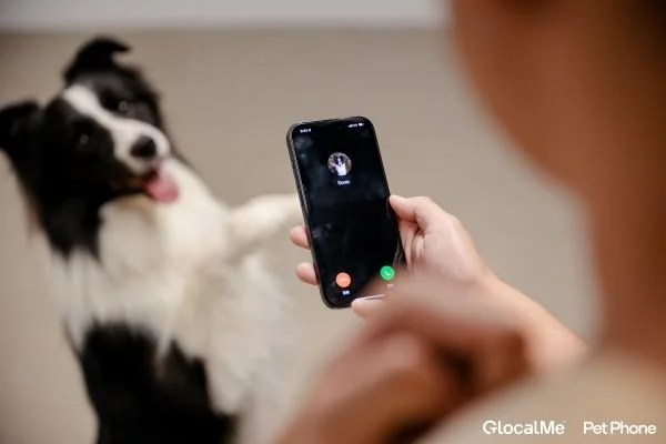 Hong Kong Launches World's First AI-Powered PetPhone